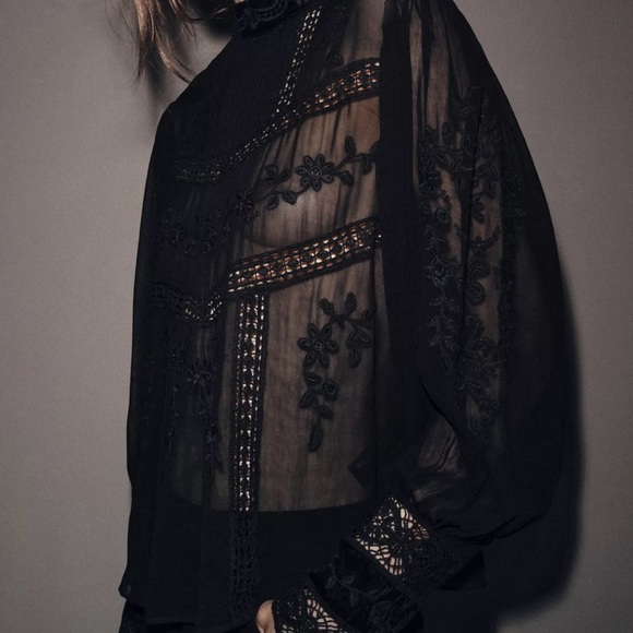 VELVET LADDER TRIM BLOUSE ZW COLLECTION
Zara Black Sheer Lace Embroidered Blouse - Picture 3 of 14